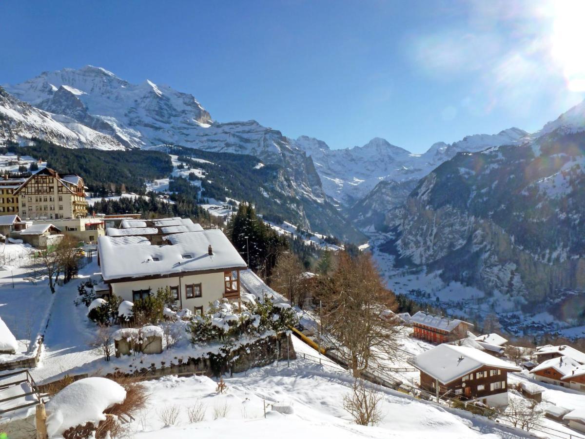 Studio Krokus By Interhome Wengen Buitenkant foto