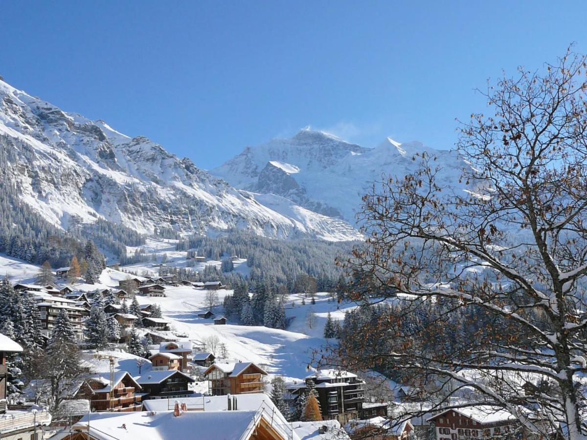 Studio Krokus By Interhome Wengen Buitenkant foto