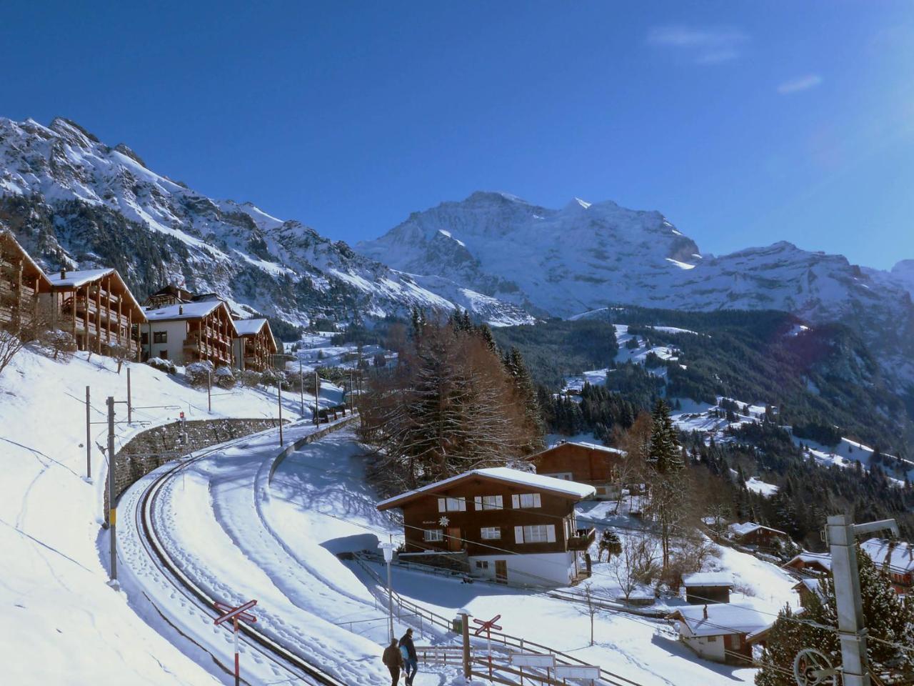 Studio Krokus By Interhome Wengen Buitenkant foto